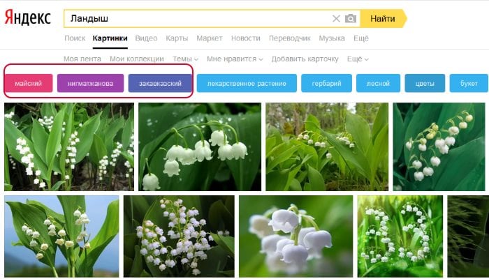 Filtros para buscar imágenes de Yandex