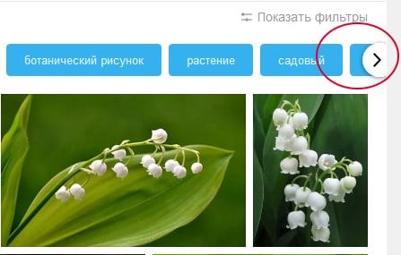 Flecha para mostrar otros filtros en Yandex