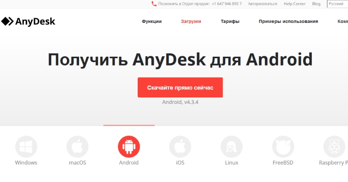 Sitio web de AnyDesk