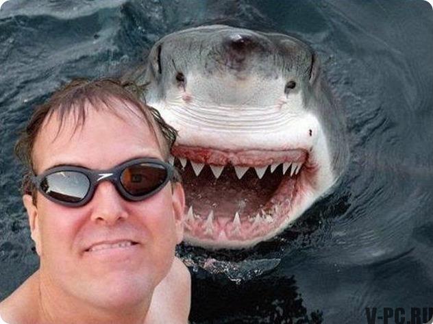 selfie de tiburón