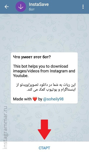 Visualización de historias de Instagram de forma anónima: bot de Telegram