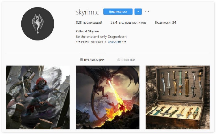 Cuenta de Instagram Skyrim