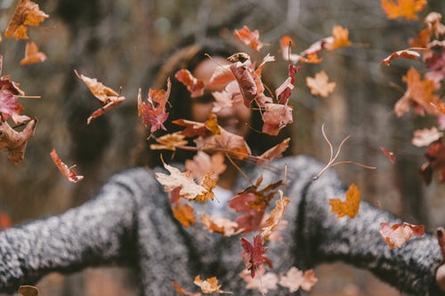 Ideas fotográficas de otoño para Instagram: una niña arroja hojas en el bosque
