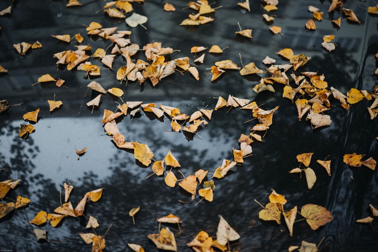 Ideas para fotos otoñales de Instagram: un corazón de hojas