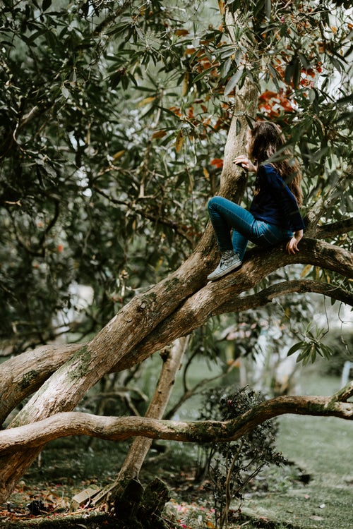 Ideas fotográficas de otoño para Instagram: una niña en un árbol