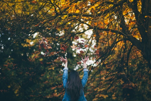Ideas fotográficas de otoño para Instagram: arroja hojas en el bosque