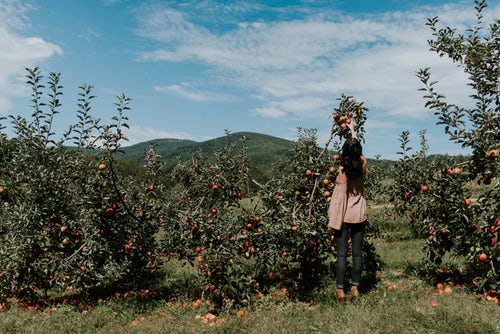 ideas de fotos de otoño para instagram - niña recoge manzanas