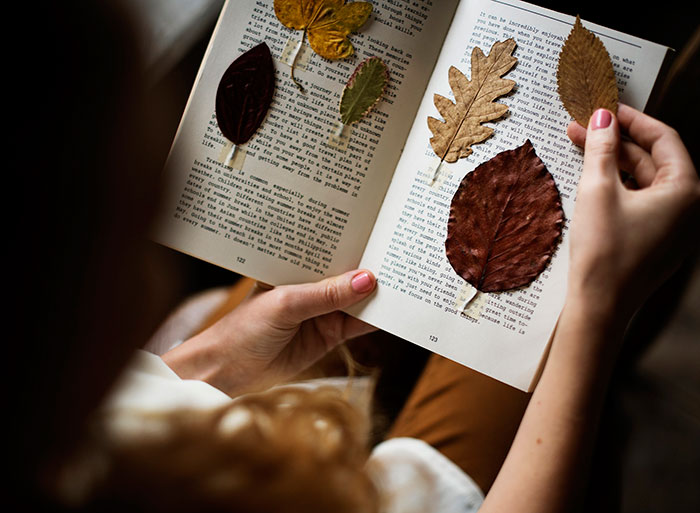 Ideas fotográficas de otoño para Instagram: hojas secas en un libro