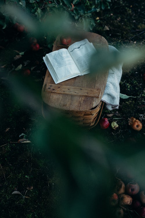 Ideas fotográficas de otoño para Instagram: un libro de picnic